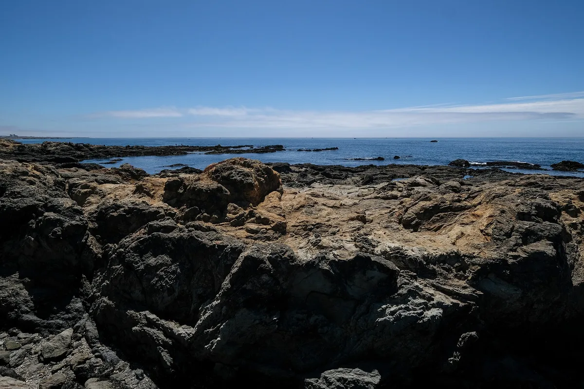 Praia de MacKerricher State Park, Fort Bragg, California Coast, Estados Unidos — 3