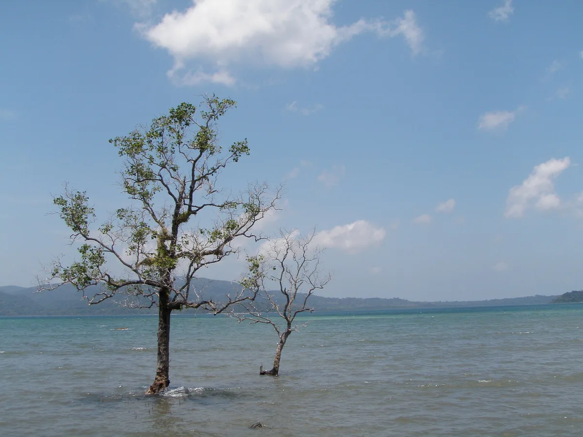 Spiaggia di Chidiya Tapu, Port Blair, Andaman and Nicobar Islands, India — 4