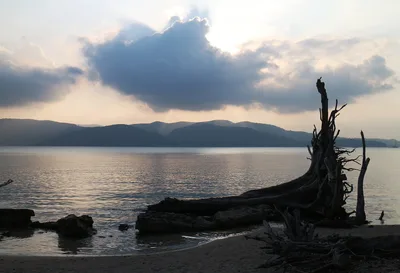 Chidiya Tapu-Strand