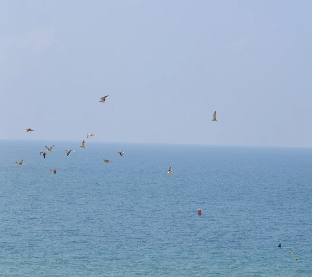Plage de la Cortadura, Cádiz, Andalusia, Espagne — 5