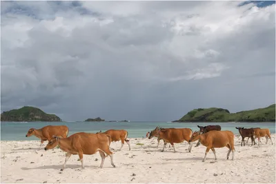 Plage de Tanjung Aan