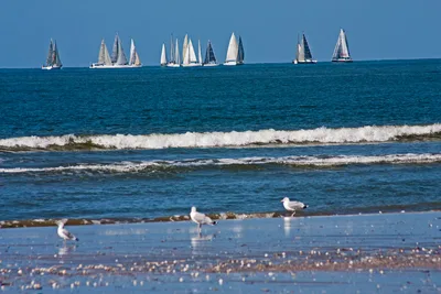 Plage de Deauville