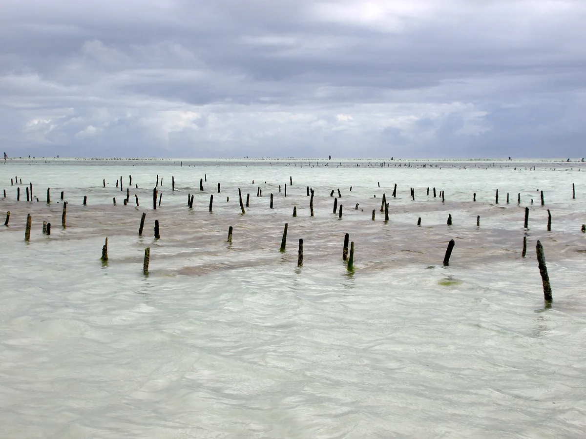 Jambiani Beach, Jambiani, East African Coast, Tanzania — 2