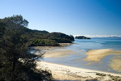 Apple Tree Bay, Tasman District, Nelson-Tasman, Neuseeland — 5