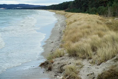 Prora Beach