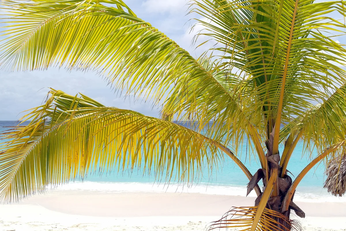 Plage de Grote Knip, Banda Abou, Lesser Antilles, Curaçao — 6