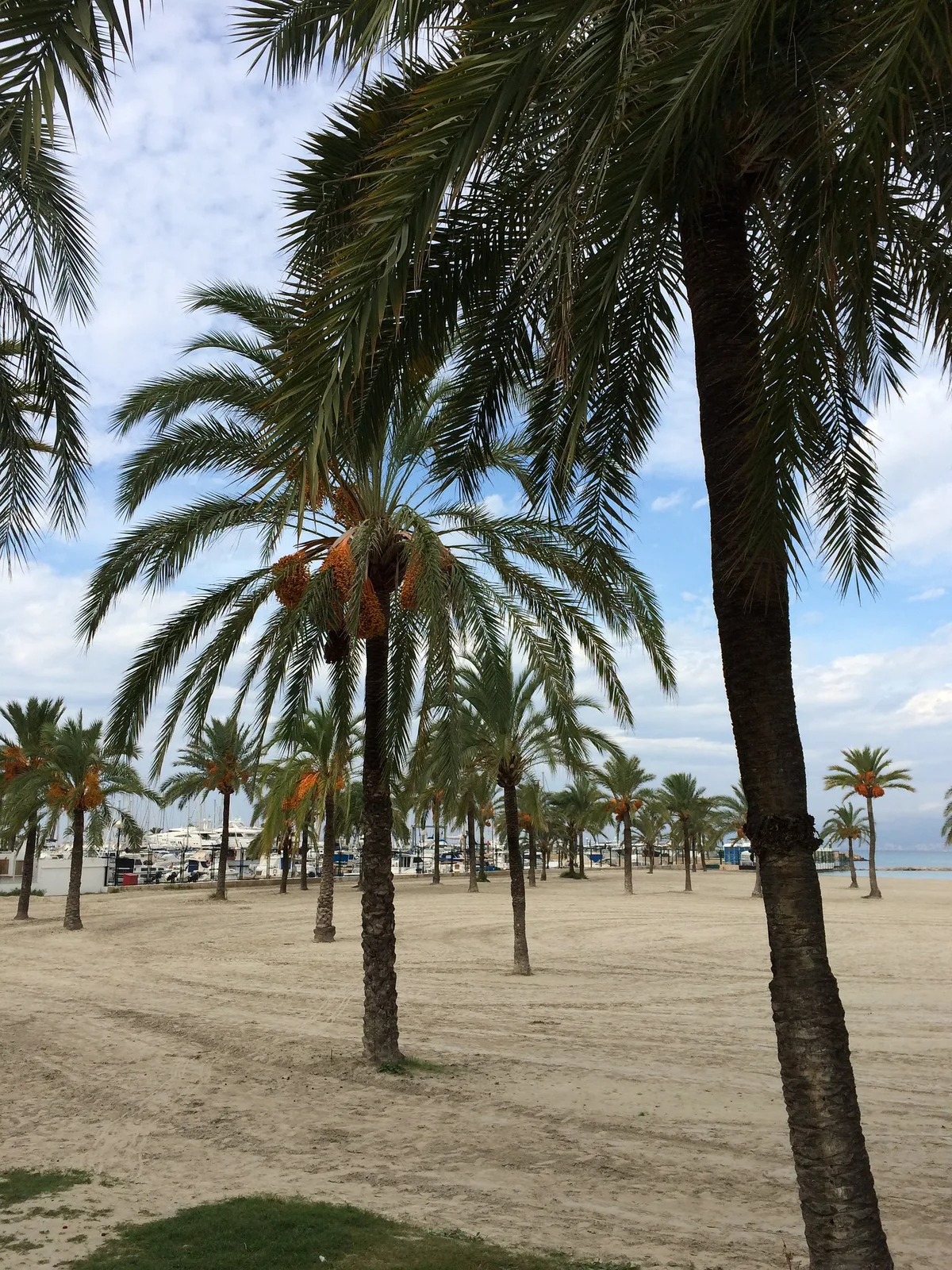 Playa de S'Arenal, Llucmajor, Balearic Islands, España — 5
