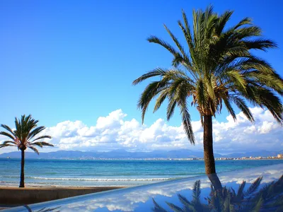 Playa de S'Arenal
