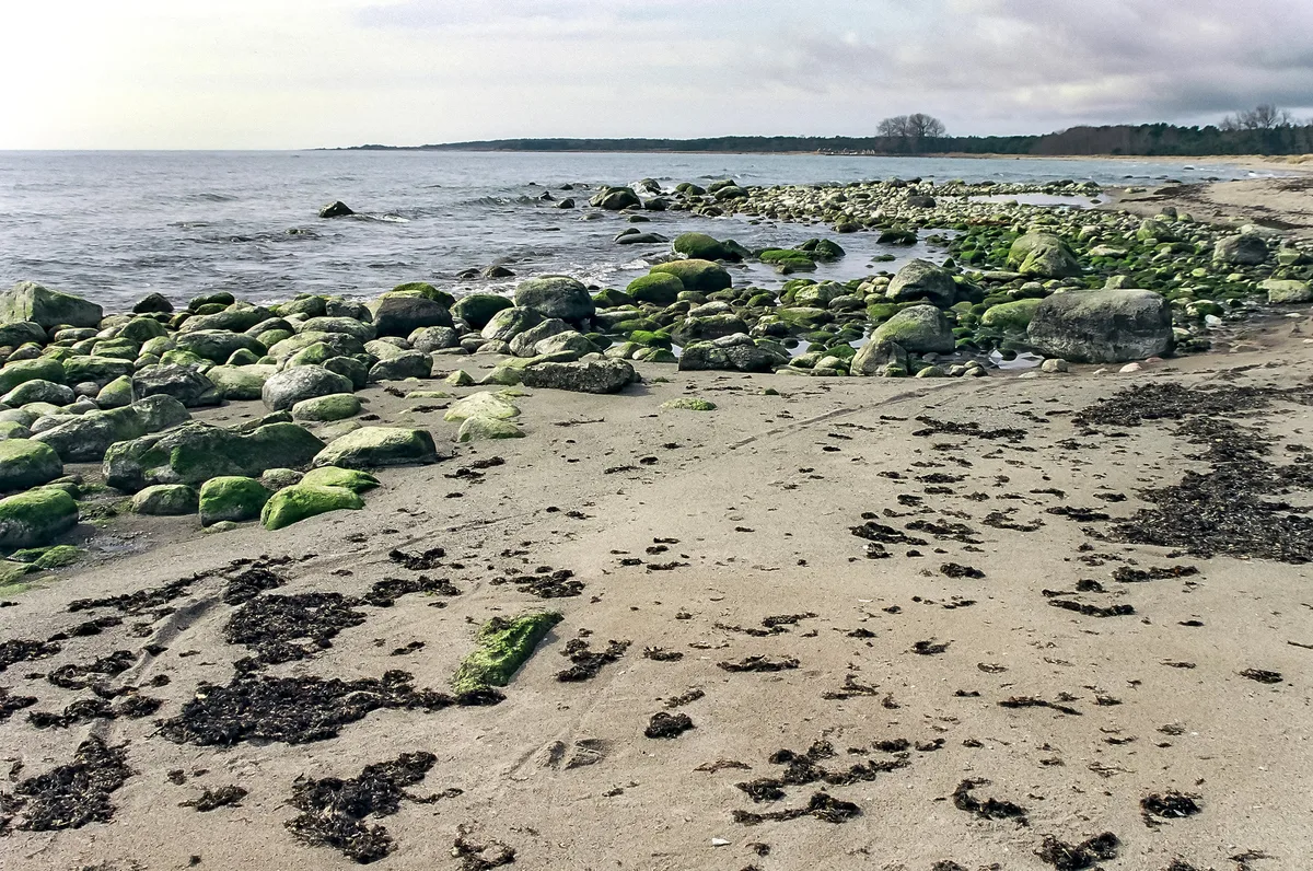 Holmhällar Beach, Region Gotland, Baltic Sea, Sweden — 4
