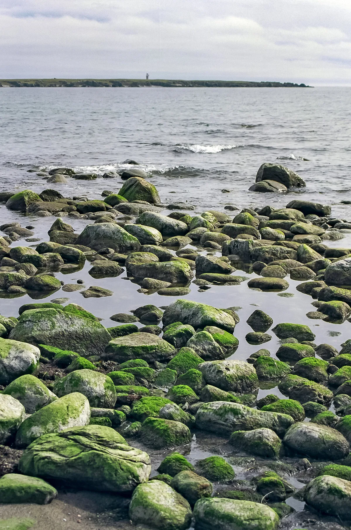 Holmhällar Beach, Region Gotland, Baltic Sea, Sweden — 3