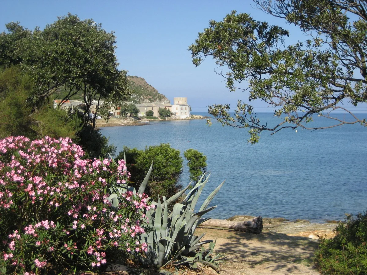 Tollare Beach, Ersa, Corsica, France — 4