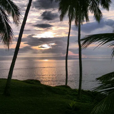 Samudra Beach, Thiruvananthapuram, Indian South Coast, India — 4