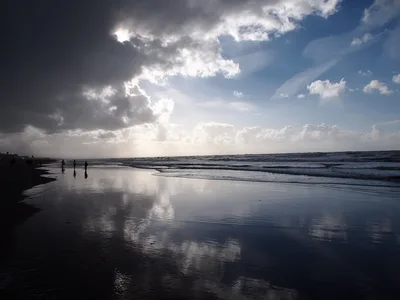 Strand Paal 12, Texel, North Holland, Nederland — 3