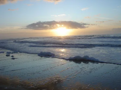 Strand Paal 12