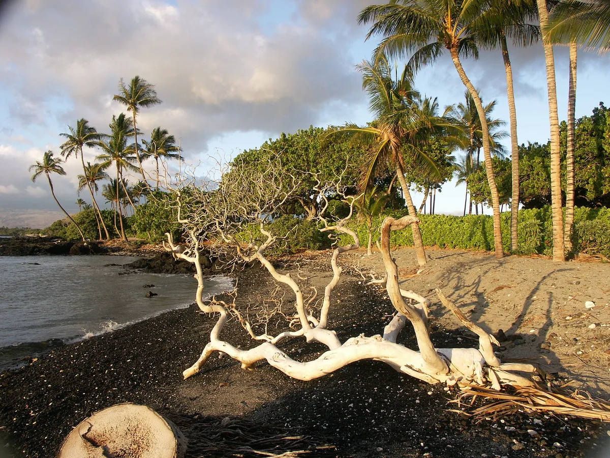 Kahalu'u Beach Park, Kailua-Kona, Hawaii, États-Unis — 3
