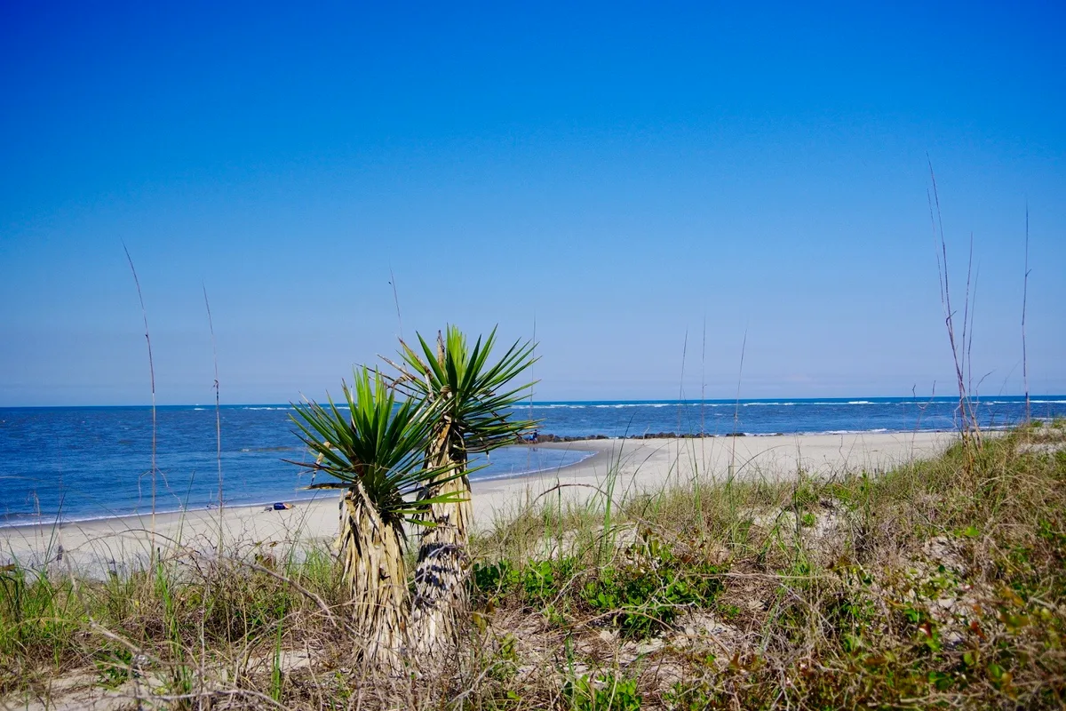 Lighthouse Inlet Heritage Preserve Beach, Folly Beach, US East Coast, United States — 4