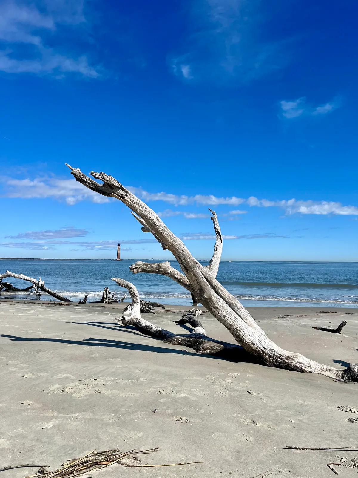 Lighthouse Inlet Heritage Preserve Beach, Folly Beach, US East Coast, United States