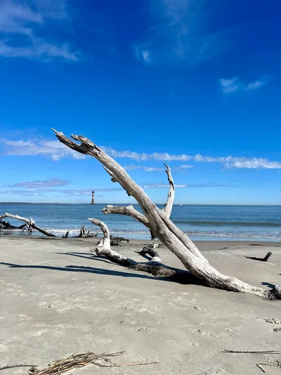 Lighthouse Inlet Heritage Preserve Beach