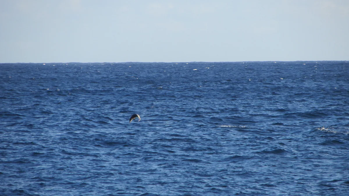 Kehena Beach, Puna, Hawaii, Estados Unidos — 5