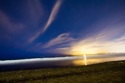 Plage de La Jolla Shores