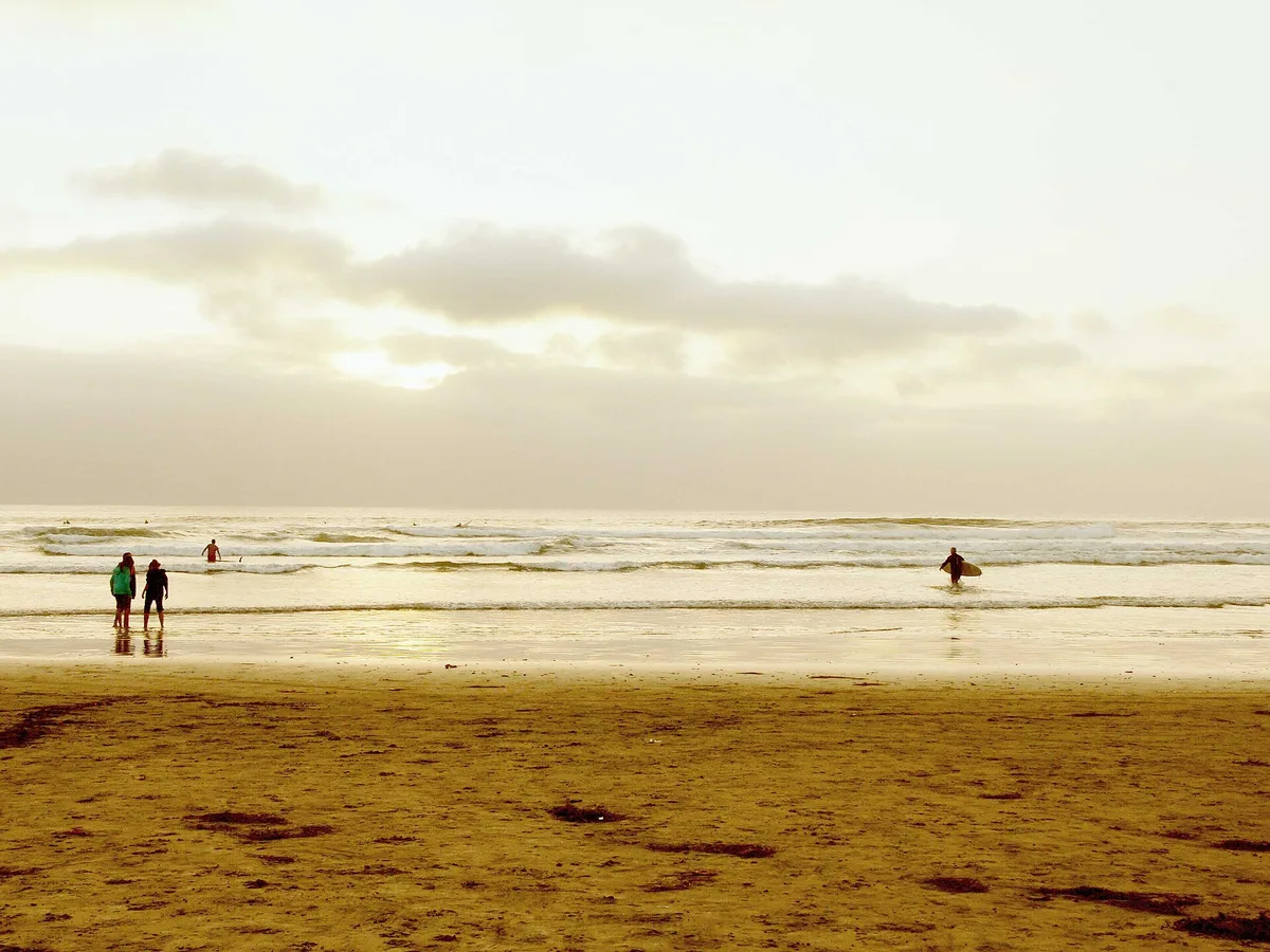Plage de La Jolla Shores, San Diego, California Coast, États-Unis — 5