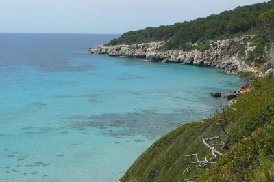 Plage de Cala Niu Llorc