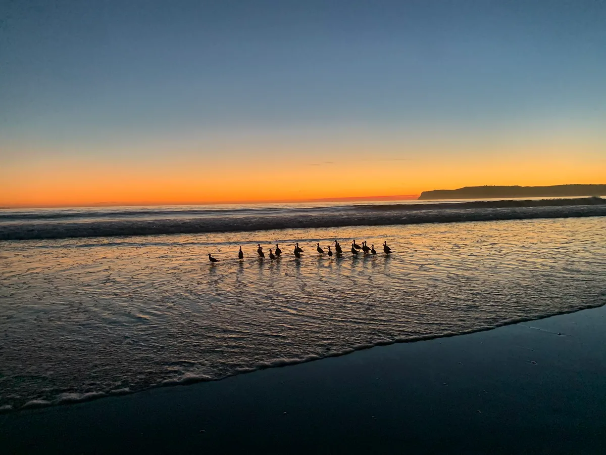 Plage de Coronado, Coronado, California Coast, États-Unis — 4