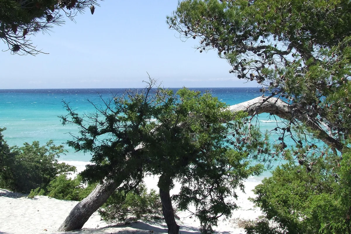 Plage de Saleccia, Santo-Pietro-di-Tenda, Corse, France — 2