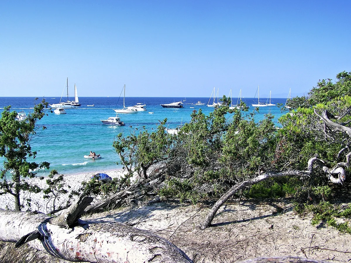 Plage de Saleccia, Santo-Pietro-di-Tenda, Corse, France — 3