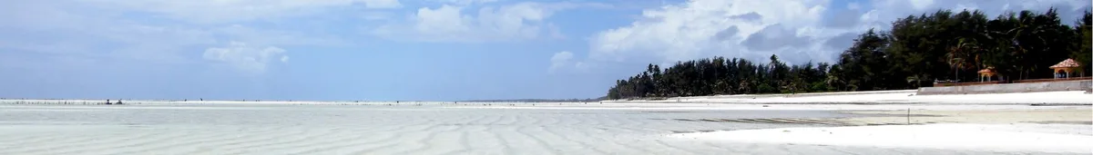 Paje Beach, Paje, East African Coast, Tanzania — 4