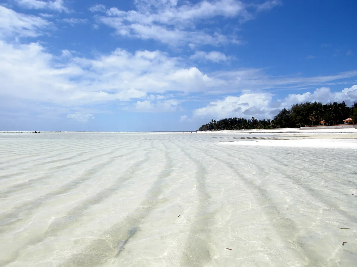 Paje Beach, Paje, East African Coast, Tanzania — 3