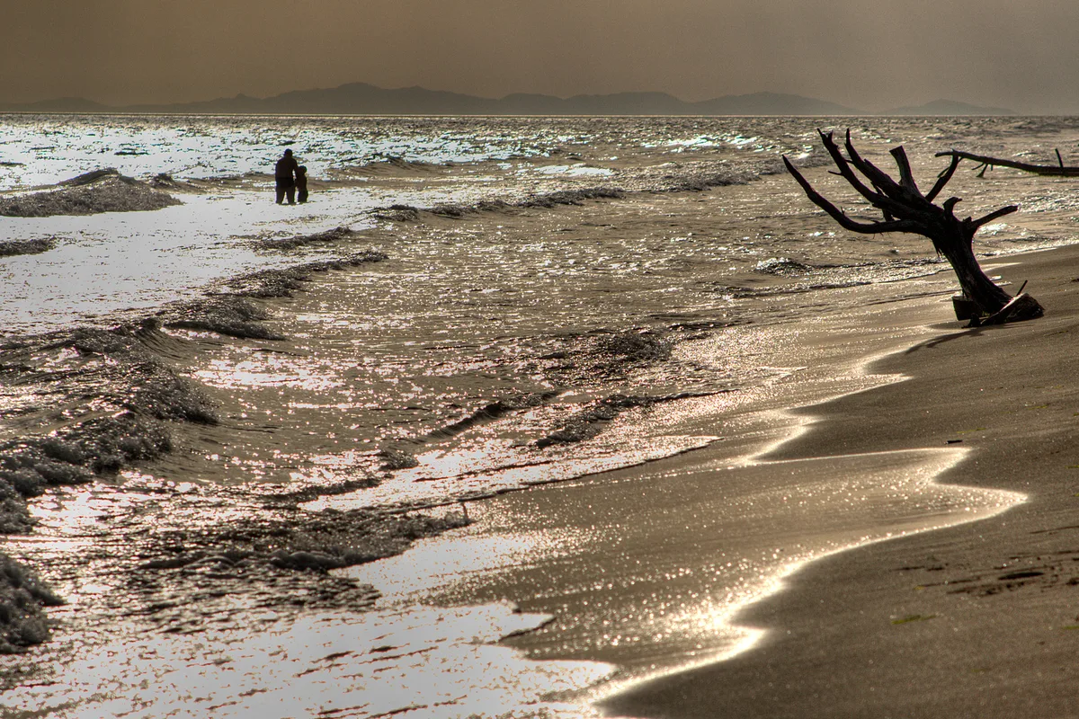 Marina di Alberese Beach, Grosseto, Tuscany, Italy