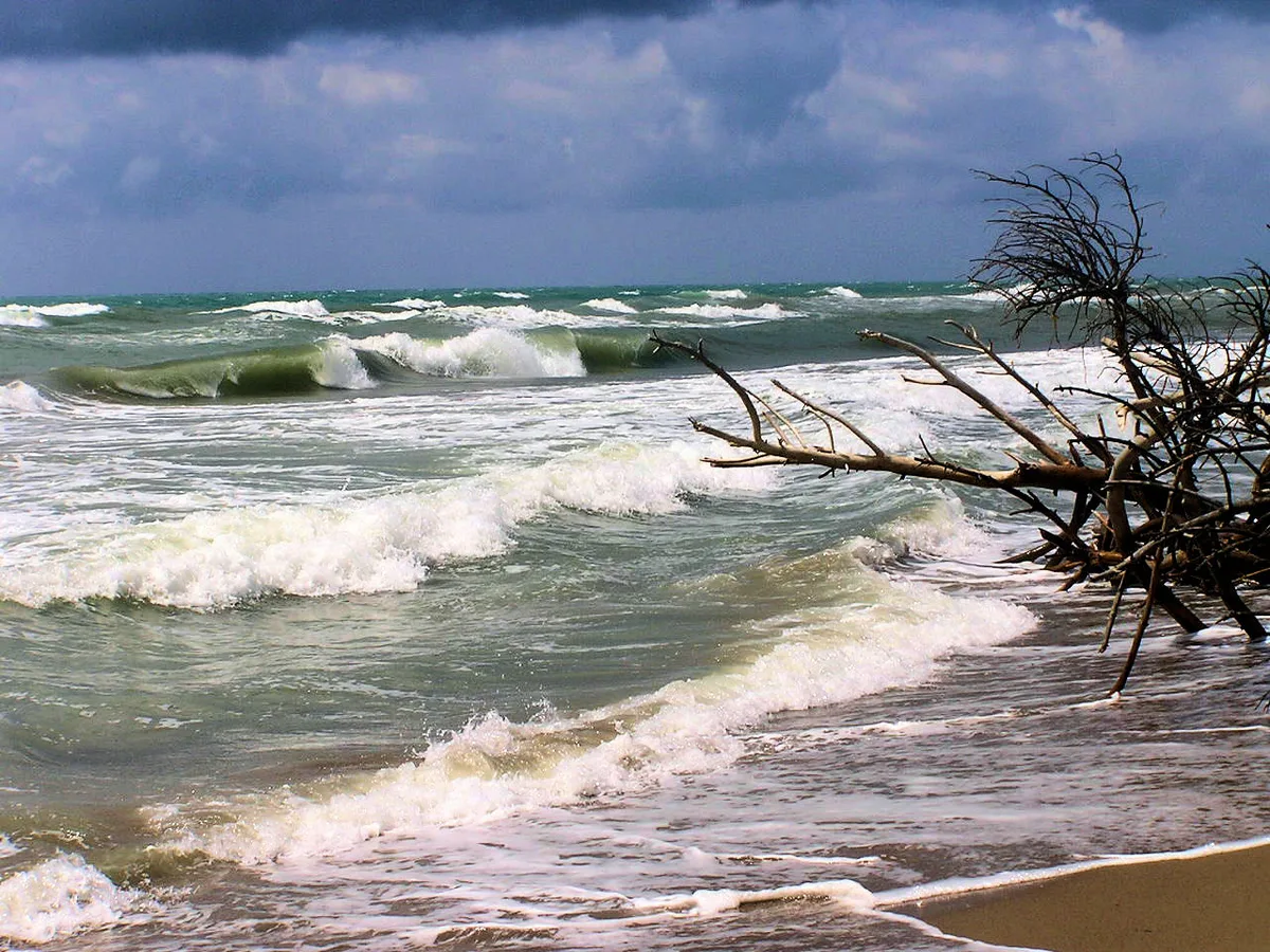 Marina di Alberese Beach, Grosseto, Tuscany, Italy — 5