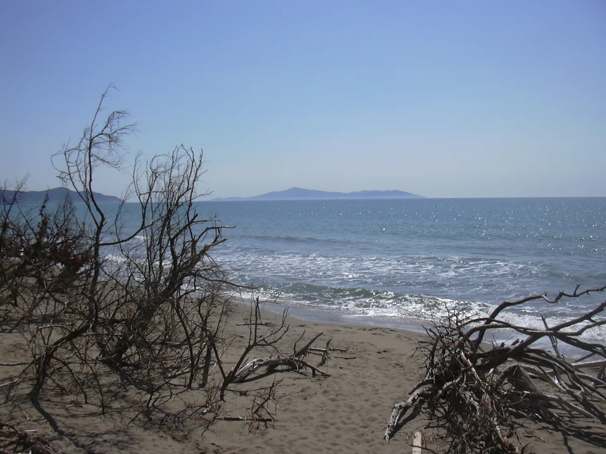 Marina di Alberese Beach, Grosseto, Tuscany, Italy — 6
