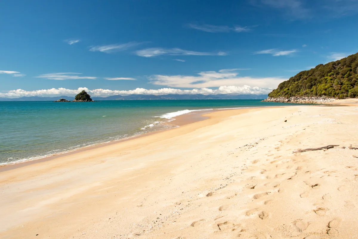 Bark Bay-Strand, Tasman District, Nelson-Tasman, Neuseeland