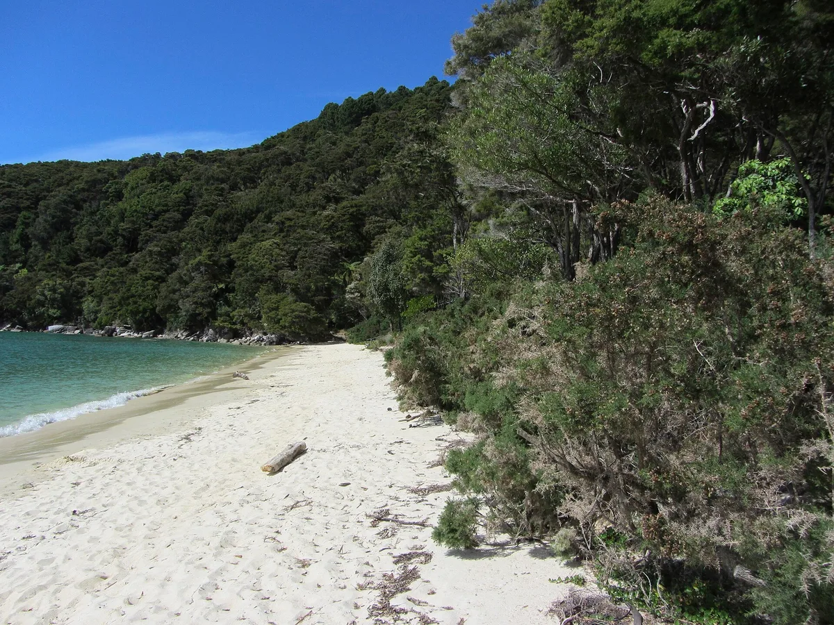 Bark Bay-Strand, Tasman District, Nelson-Tasman, Neuseeland — 3