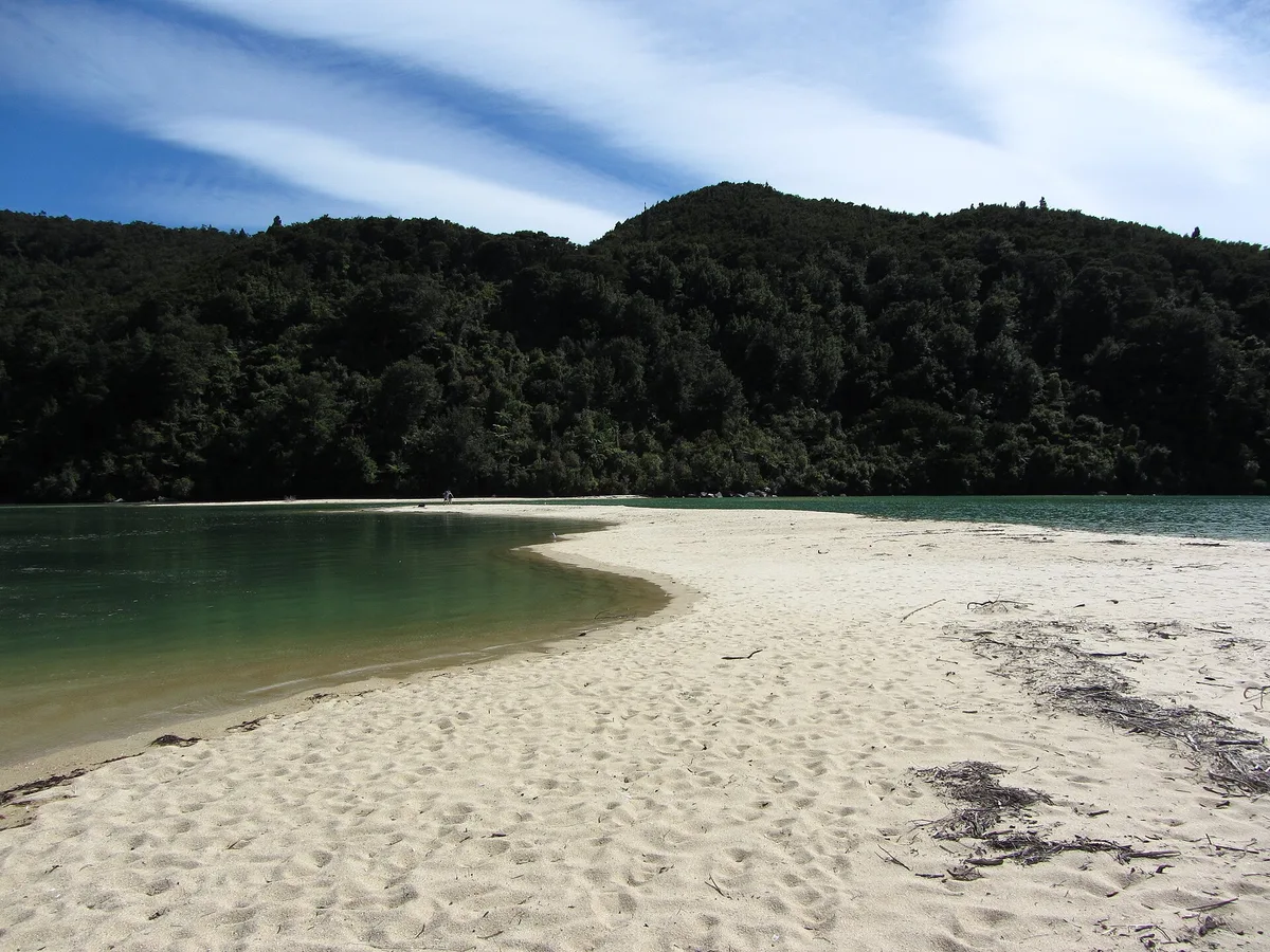 Bark Bay-Strand, Tasman District, Nelson-Tasman, Neuseeland — 4