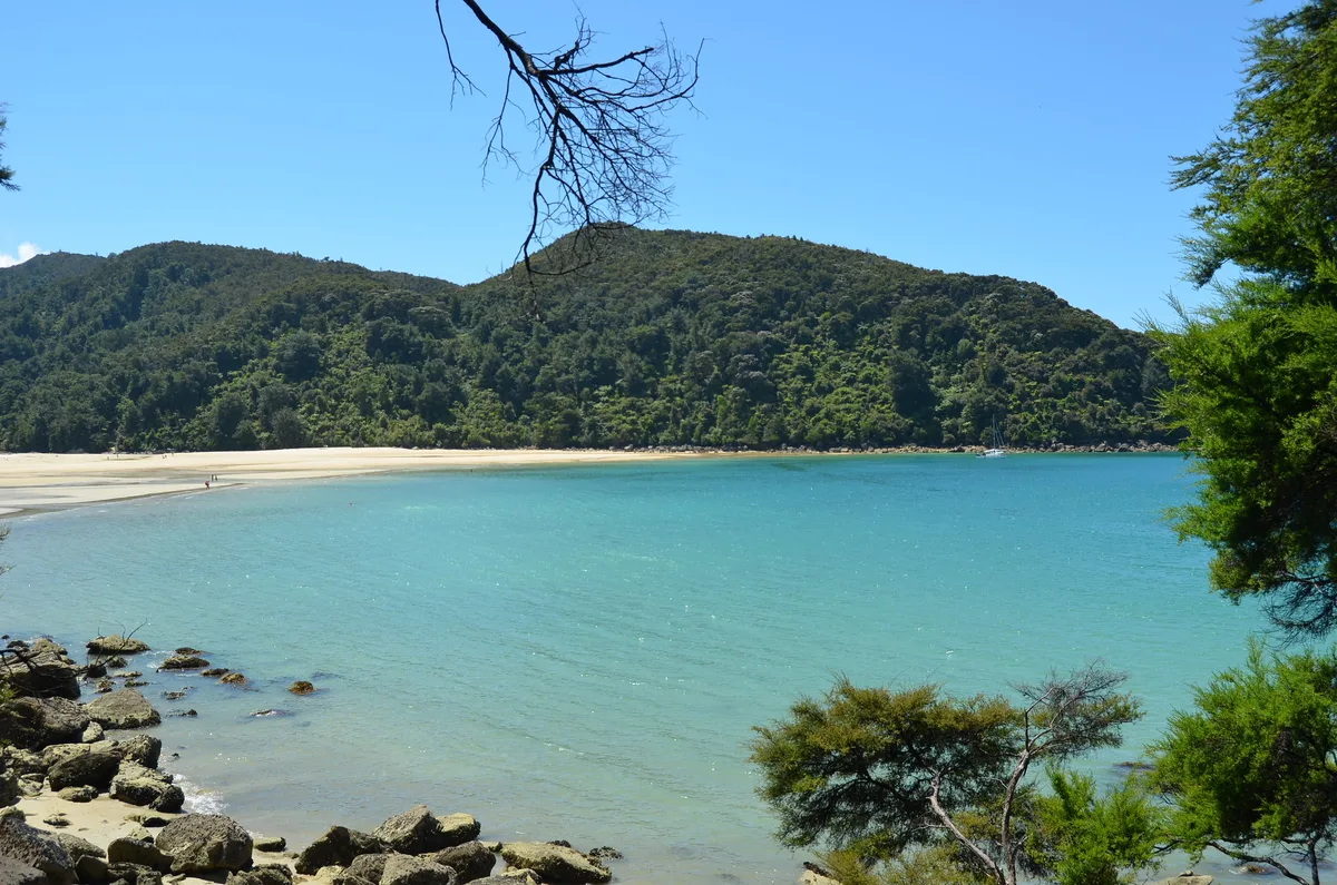 Bark Bay-Strand, Tasman District, Nelson-Tasman, Neuseeland — 6