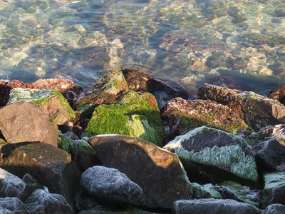 Primorsko Central Beach