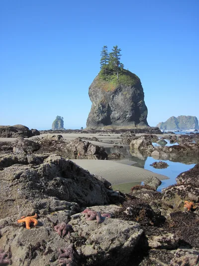 Second Beach