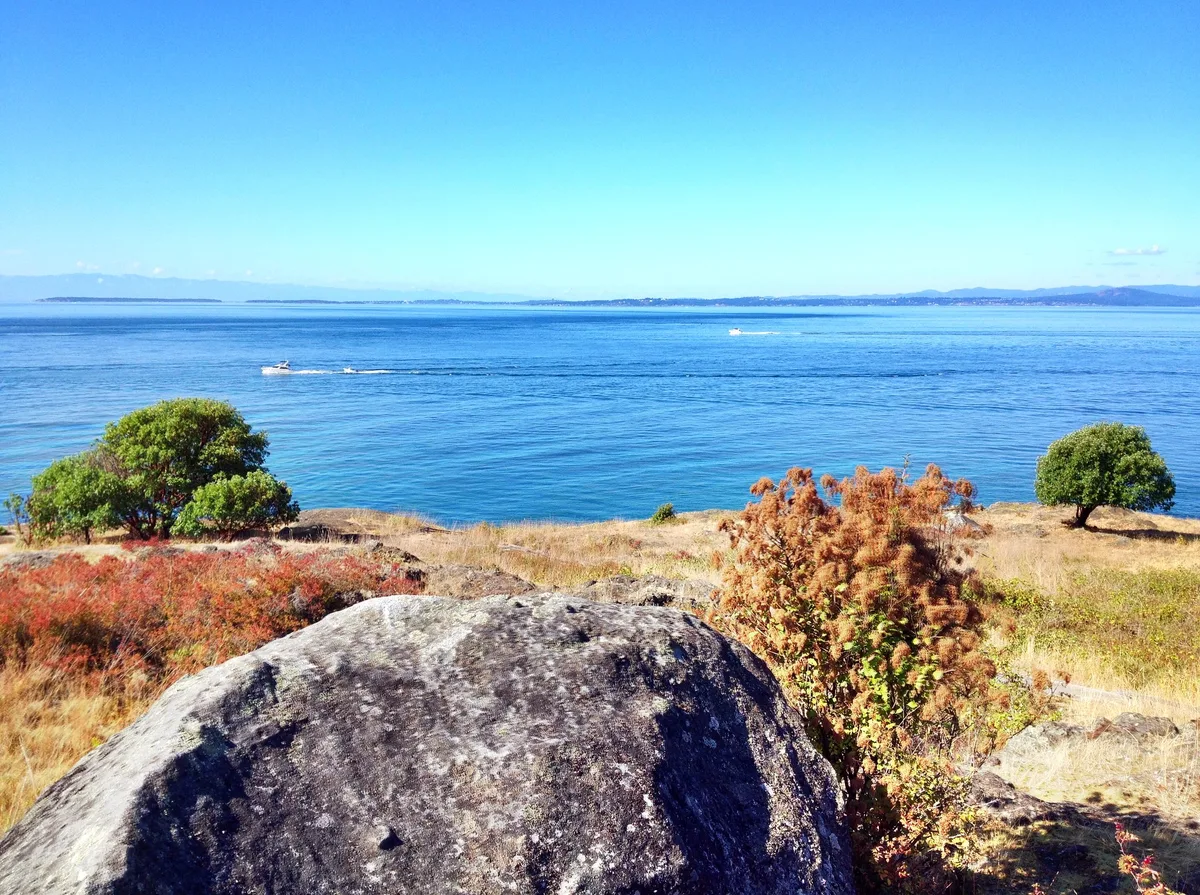 Westside Preserve Beach, Friday Harbor, US Pacific Northwest, Vereinigte Staaten — 3