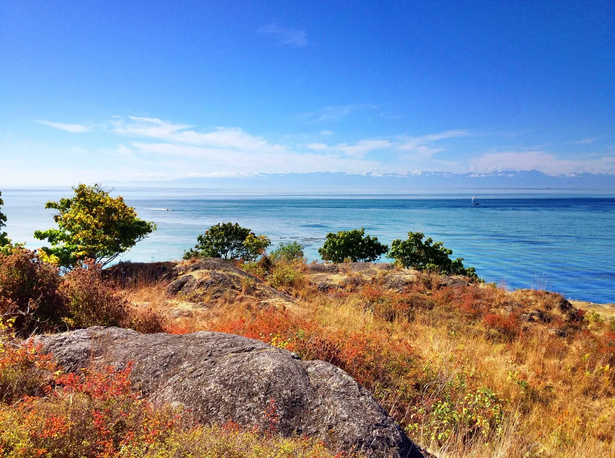 Westside Preserve Beach, Friday Harbor, US Pacific Northwest, Vereinigte Staaten — 4