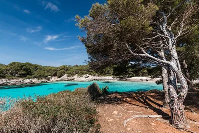 Cala en Turqueta