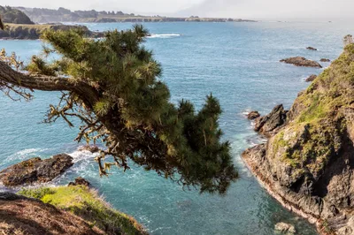 Russian Gulch State Beach