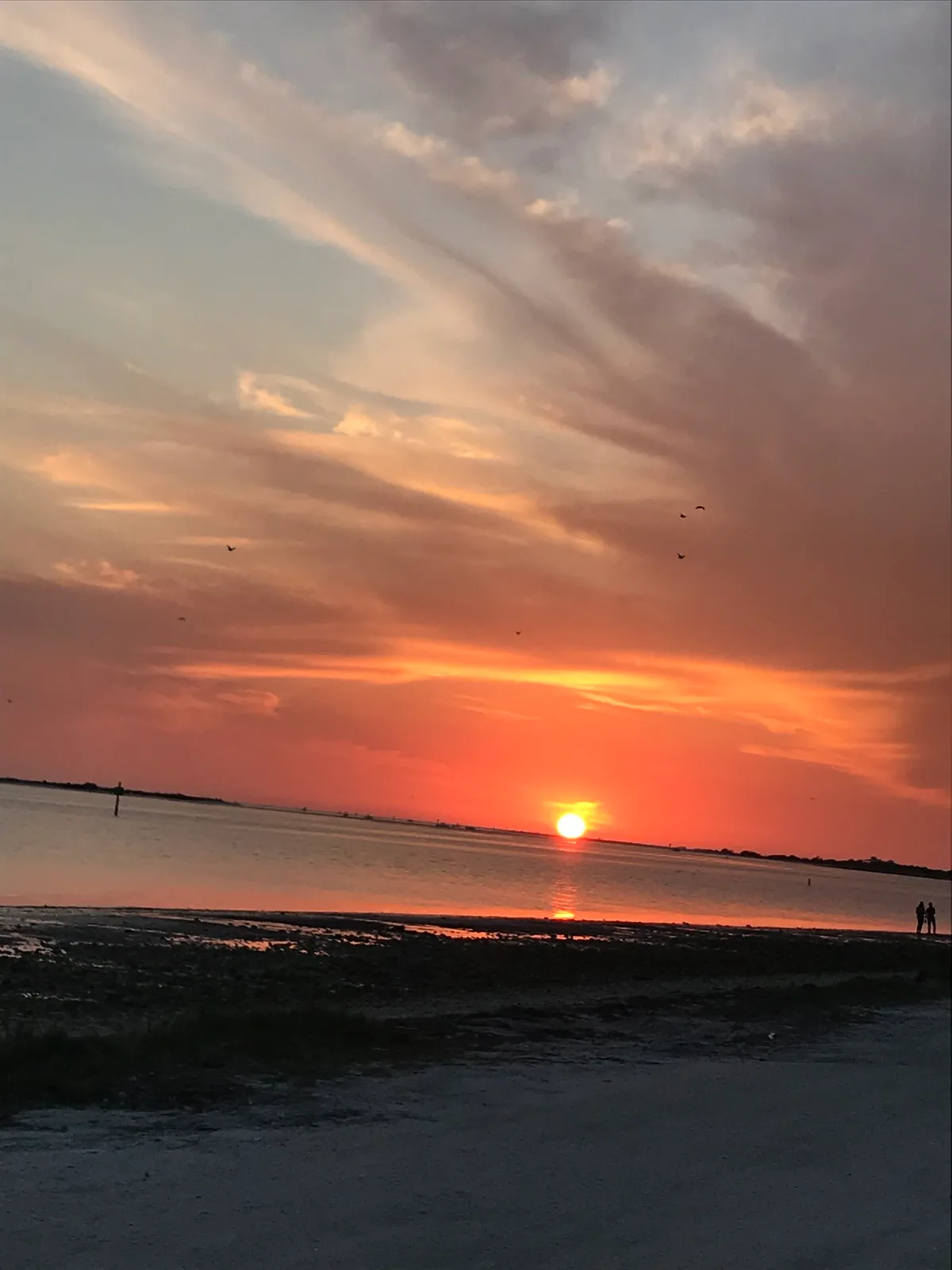 Plage de Dunedin Causeway, Dunedin, Florida, États-Unis