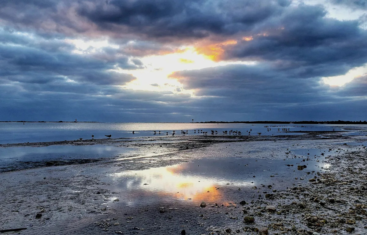Plage de Dunedin Causeway, Dunedin, Florida, États-Unis — 3