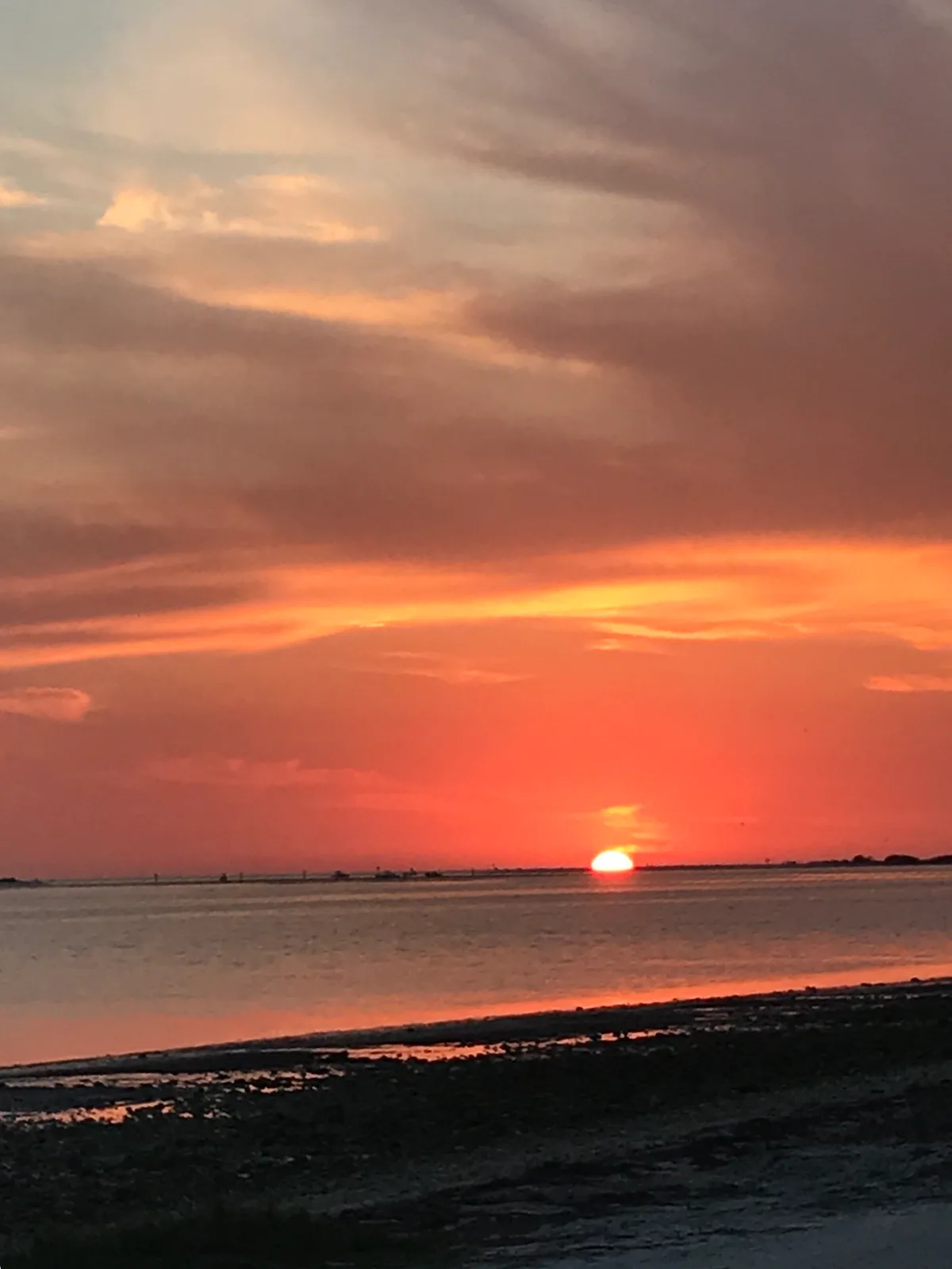 Plage de Dunedin Causeway, Dunedin, Florida, États-Unis — 2