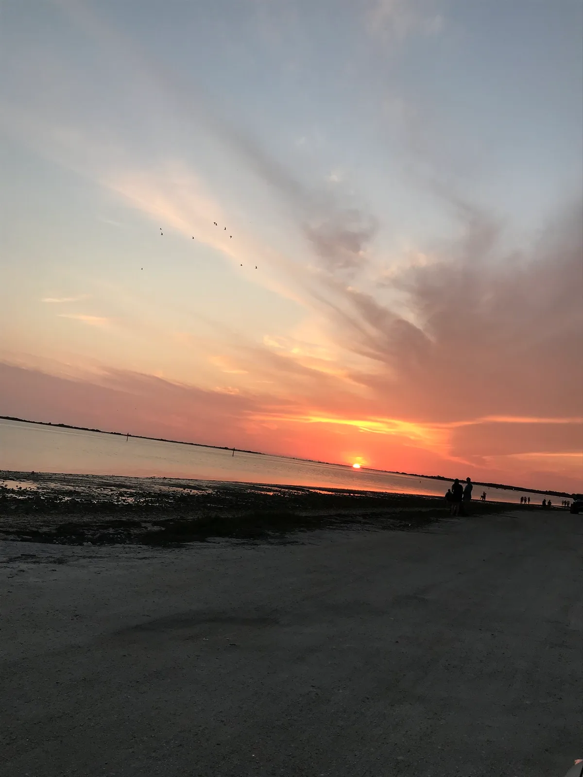 Plage de Dunedin Causeway, Dunedin, Florida, États-Unis — 4