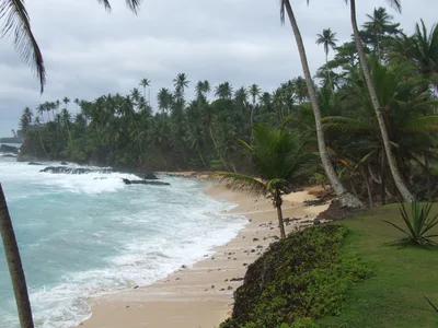 Ilhéu das Rolas Beach, Caué, Gulf of Guinea, São Tomé and Príncipe — 2