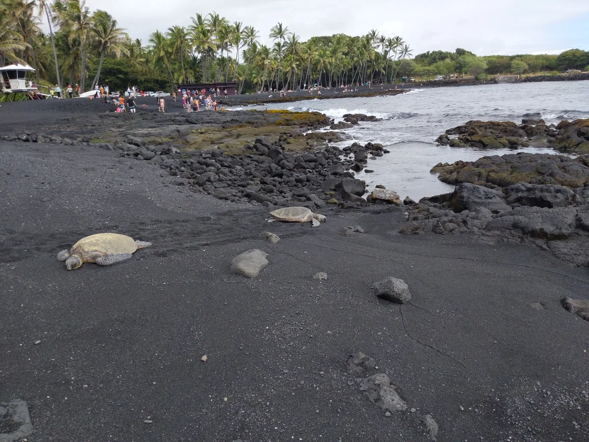 Playa de Punalu'u Black Sand, Ka'u, Hawaii, Estados Unidos — 3